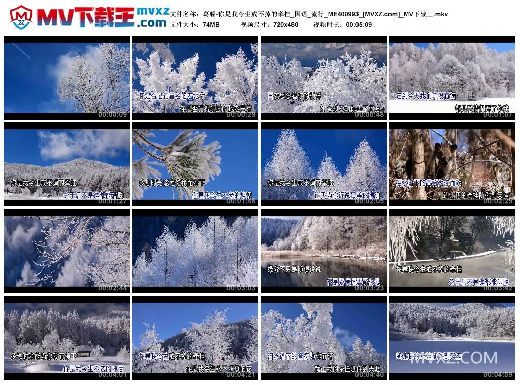 葛藤-你是我今生戒不掉的牵挂_国语_流行_ME400993